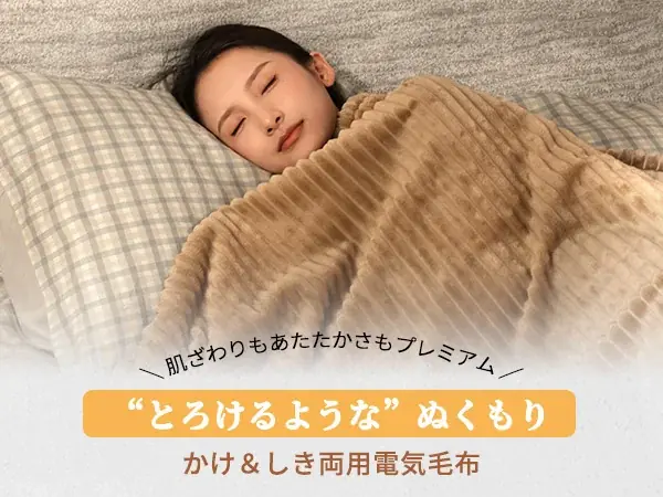 TOPZEEの3cmふわもこ電気掛敷毛布LY31F1が登場
