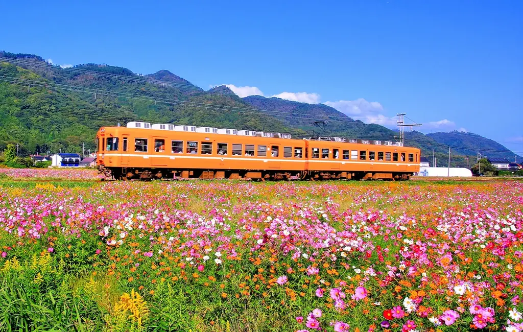 第２回開催決定！島根県出雲市で１６種のご当地あんこスイーツを巡るスタンプラリーイベント監修協力のお知らせ 画像 3