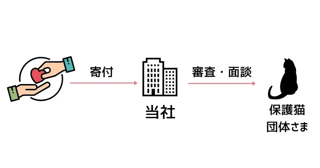 猫の多頭飼育崩壊に歯止めを。「CatsMeコネクト」保護猫支援の透明な寄付プラットフォームで“殺処分ゼロ”へ――動物愛護×社会福祉×テクノロジーの連携プロジェクト始動 画像 2