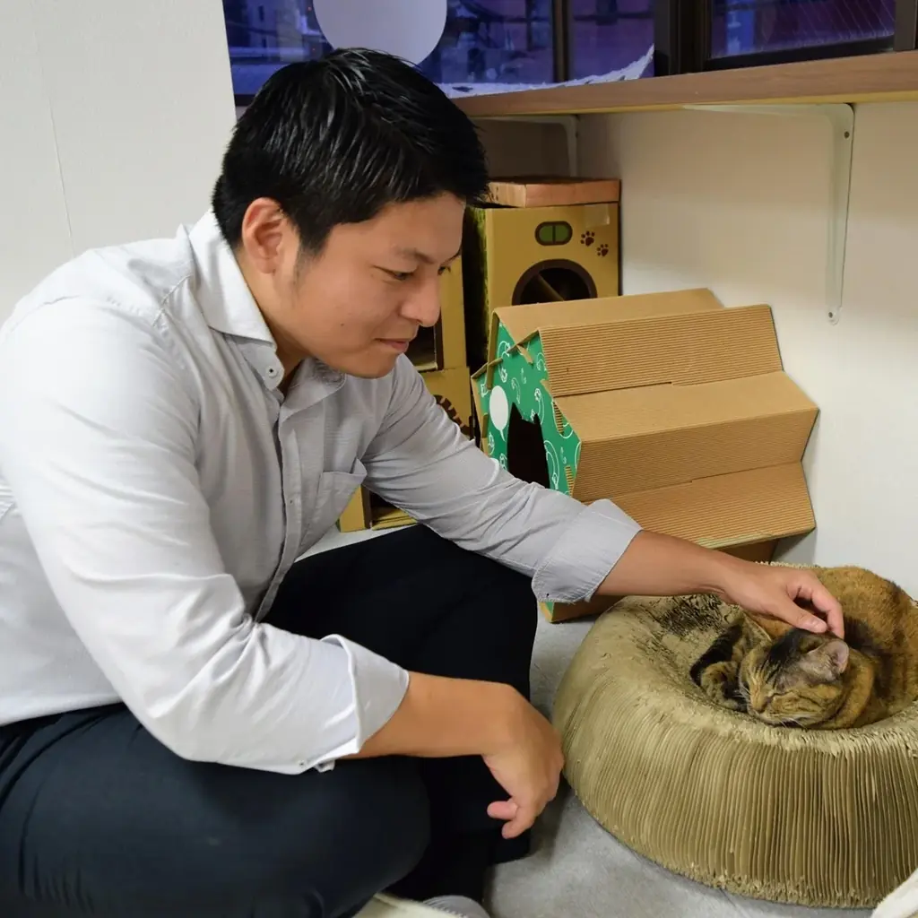 猫の多頭飼育崩壊に歯止めを。「CatsMeコネクト」保護猫支援の透明な寄付プラットフォームで“殺処分ゼロ”へ――動物愛護×社会福祉×テクノロジーの連携プロジェクト始動 画像 3