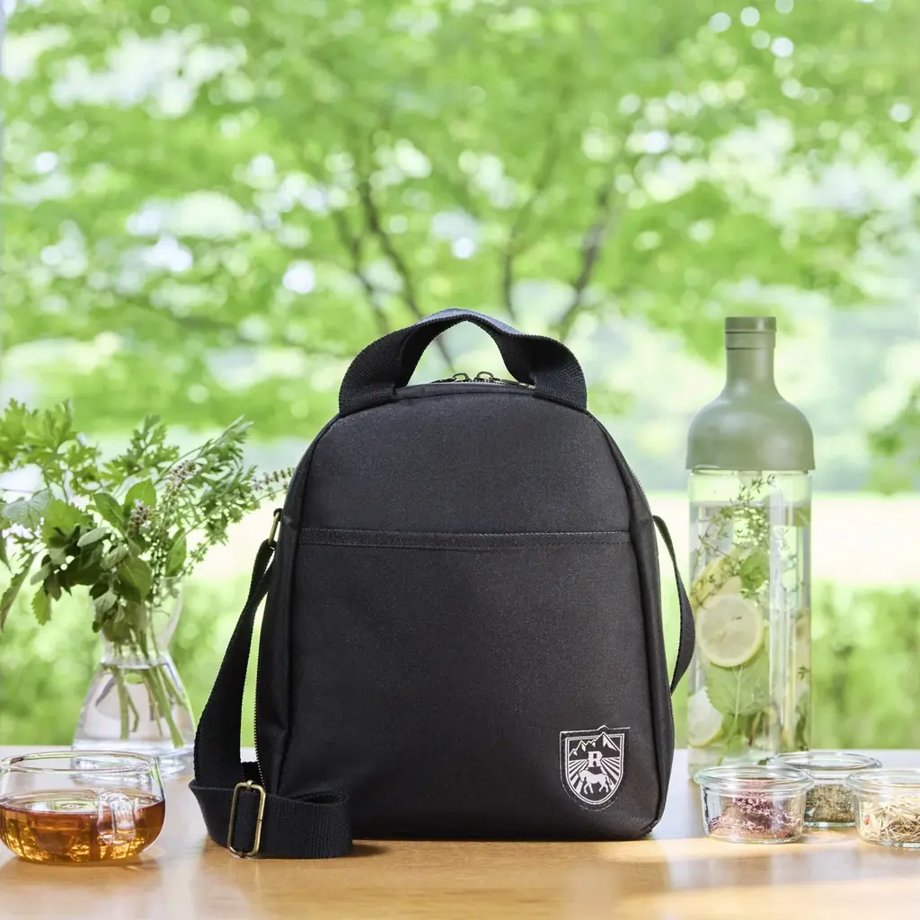 リゾナーレ監修ムック発売