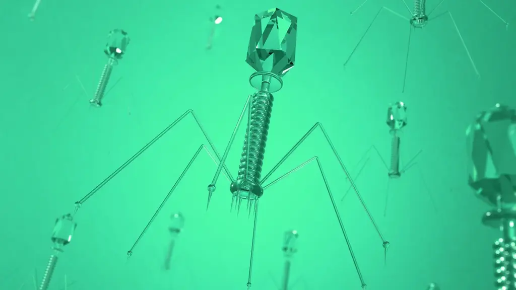 医師が開発、国産初のバクテリオファージ配合化粧水「DR.Phageスキンケアローション」発売決定 画像 3