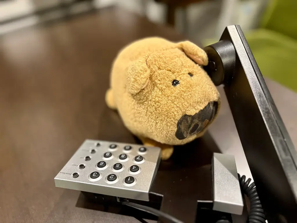 ぬいぐるみが会社で働く！？都内IT企業の「ぬいぐるみインターン」が話題に 画像 1