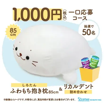 『リカルデント』と人気癒し系キャラクター『しろたん』のコラボレーションが実現！「歯を大切に！リカルデントで笑顔づくりキャンペーン」開催 画像 3