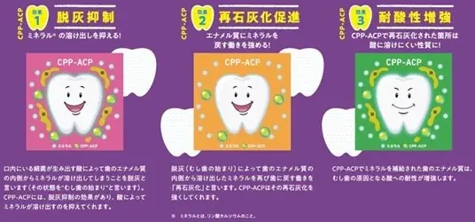 『リカルデント』と人気癒し系キャラクター『しろたん』のコラボレーションが実現！「歯を大切に！リカルデントで笑顔づくりキャンペーン」開催 画像 6
