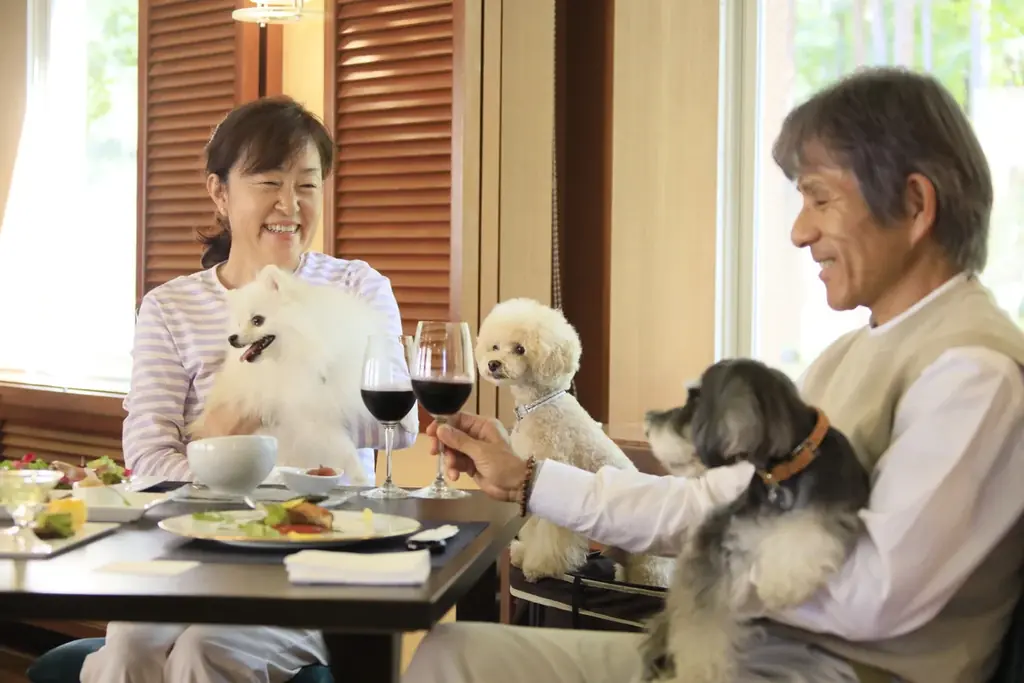 【愛犬×ハロウィン】おばけワンコの仮装パーティー開催！　箱根の愛犬と泊まれるホテルにて｜2025年10月 画像 15
