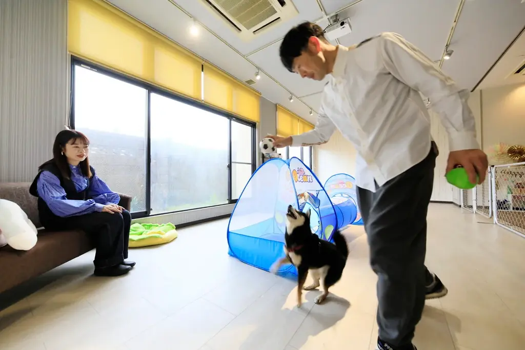 【愛犬×ハロウィン】おばけワンコの仮装パーティー開催！　箱根の愛犬と泊まれるホテルにて｜2025年10月 画像 16
