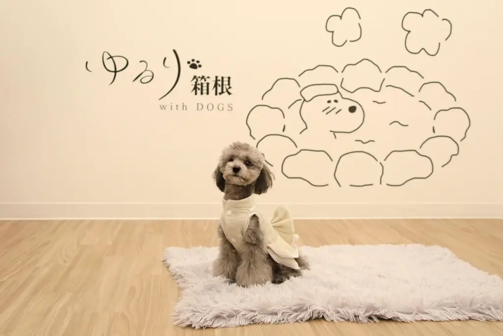 【愛犬×ハロウィン】おばけワンコの仮装パーティー開催！　箱根の愛犬と泊まれるホテルにて｜2025年10月 画像 2