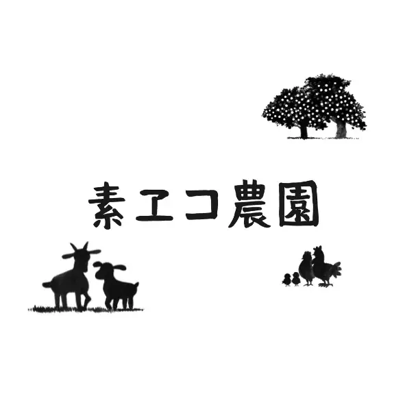 佐賀県発!「SNS バズ戦略」人気インフルエンサーが全力伴走支援スタート! 画像 4