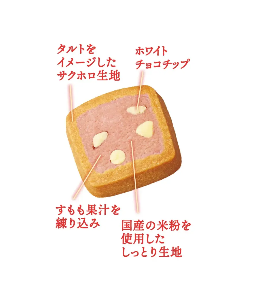 【不二家】パレットみたいにカラフルなタルト風ソフトクッキーの新作！ 「パレッティエ（山梨県産すもも／山梨県産シャインマスカット）」 画像 2