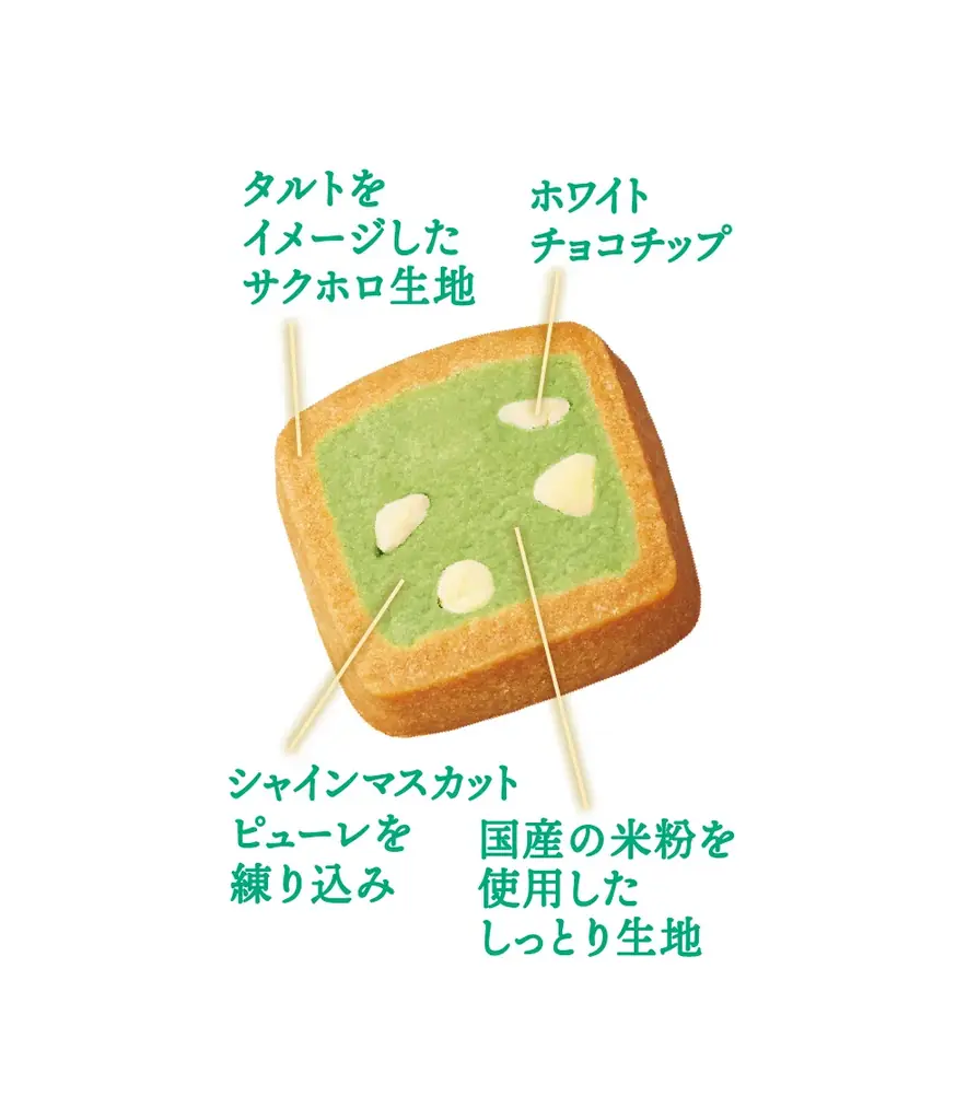 【不二家】パレットみたいにカラフルなタルト風ソフトクッキーの新作！ 「パレッティエ（山梨県産すもも／山梨県産シャインマスカット）」 画像 4