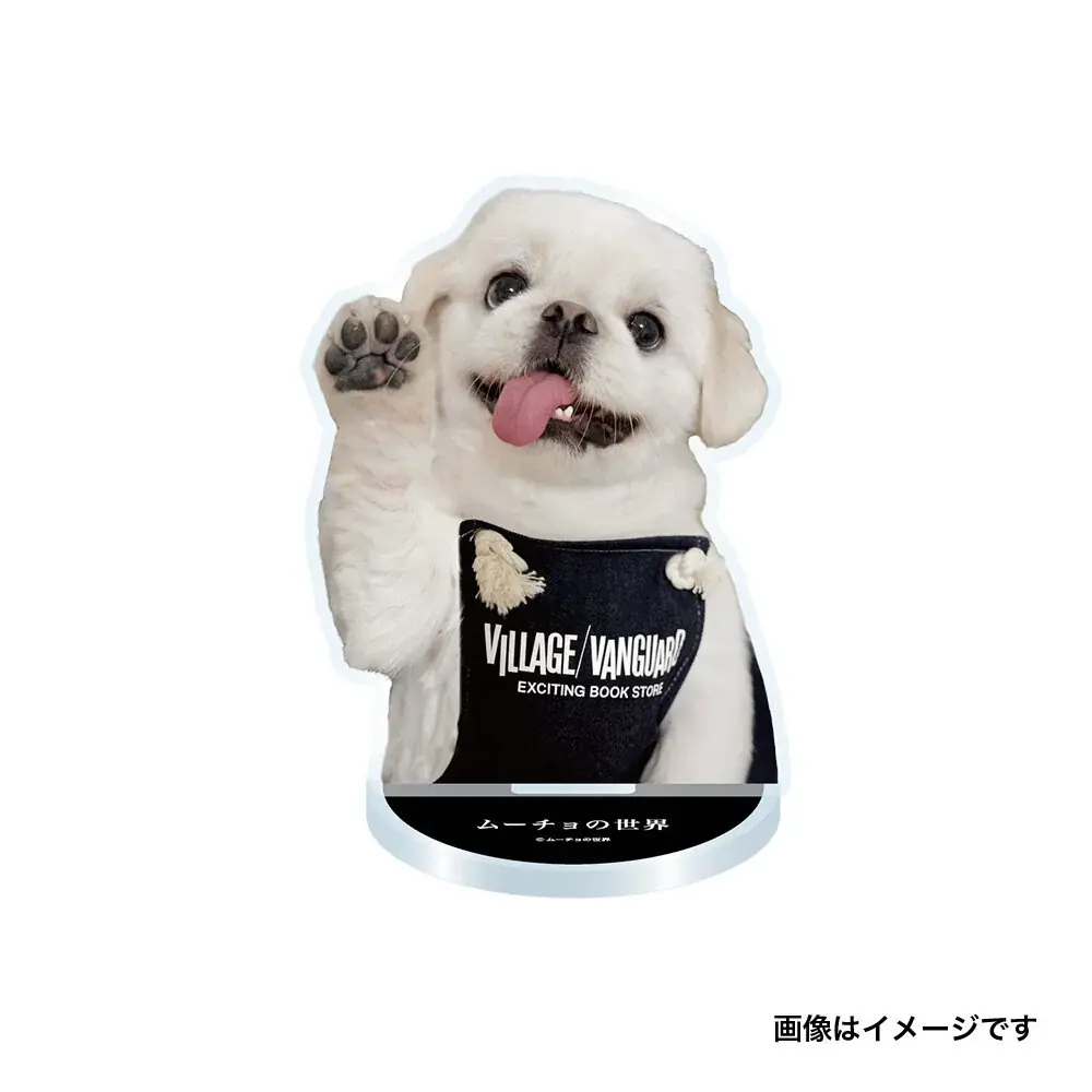 【ムーチョの世界×ヴィレッジヴァンガード】 ～限定コラボグッズが登場！～ 画像 4