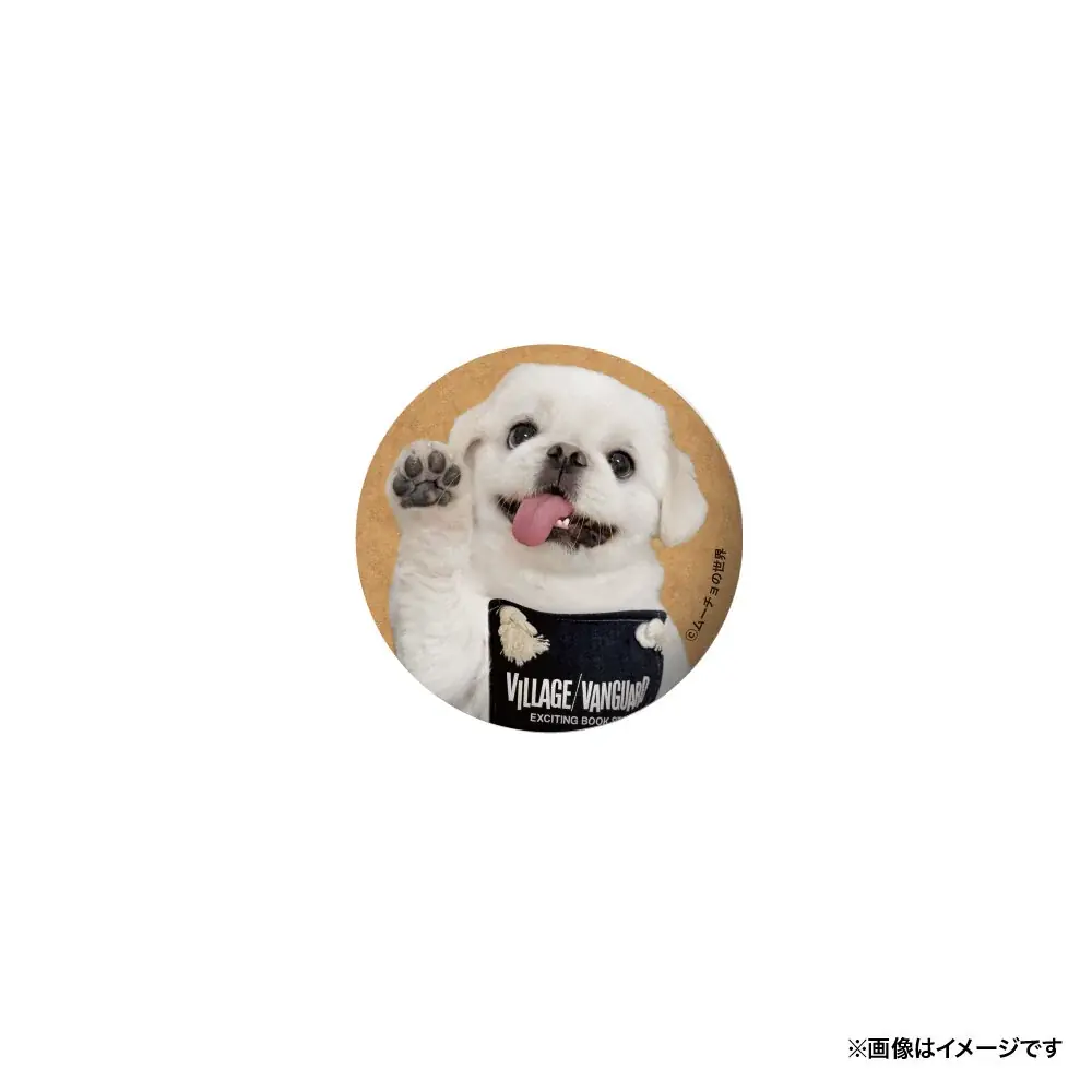 【ムーチョの世界×ヴィレッジヴァンガード】 ～限定コラボグッズが登場！～ 画像 5