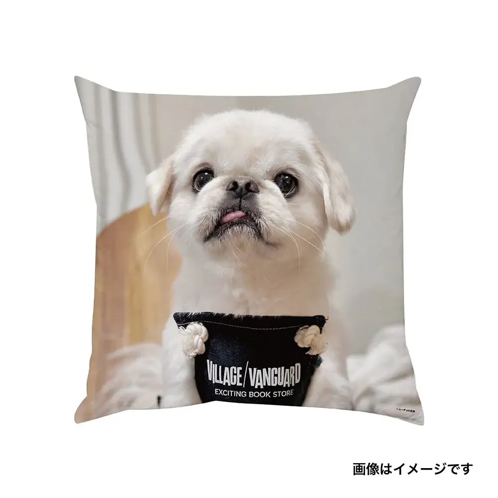 【ムーチョの世界×ヴィレッジヴァンガード】 ～限定コラボグッズが登場！～ 画像 6