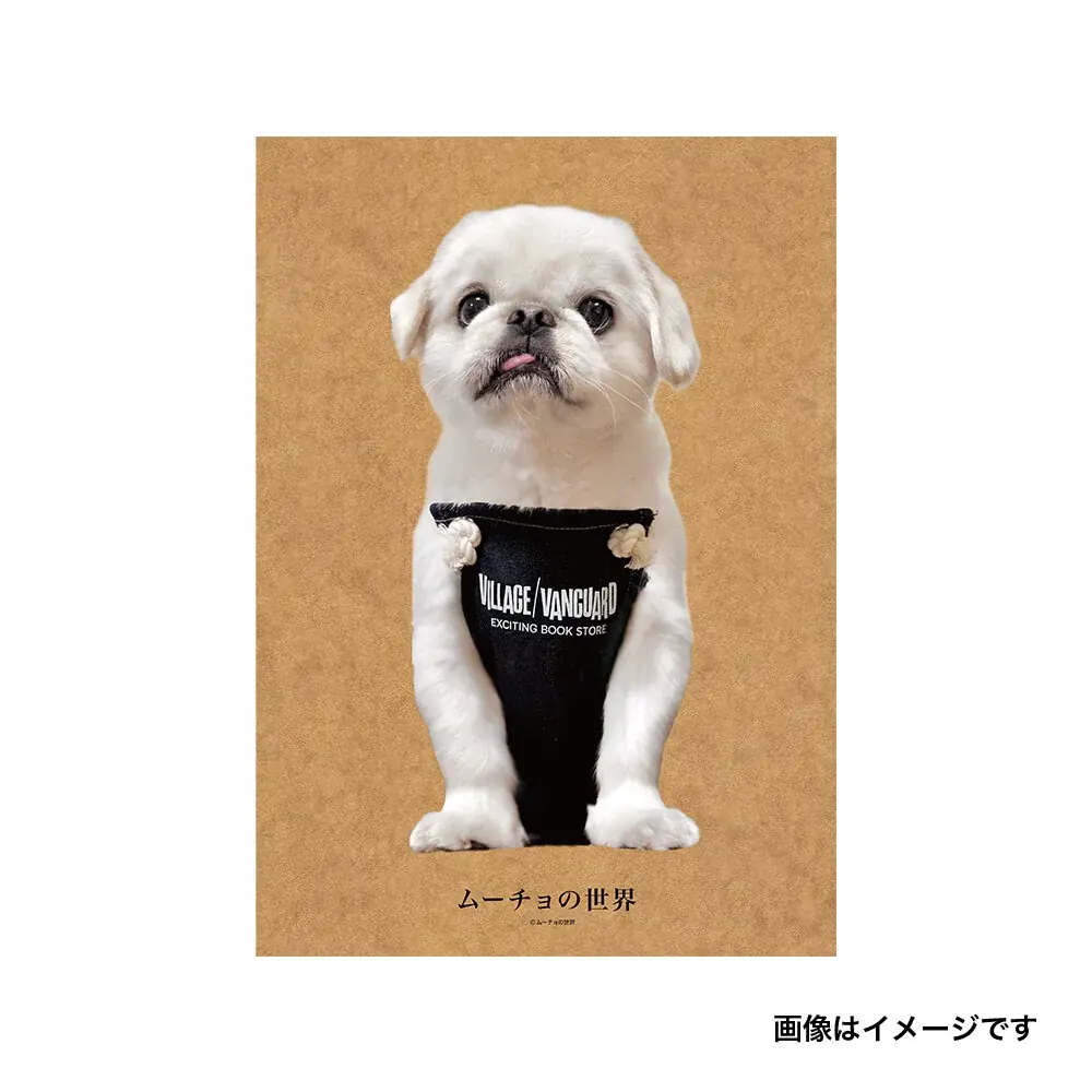 【ムーチョの世界×ヴィレッジヴァンガード】 ～限定コラボグッズが登場！～ 画像 8