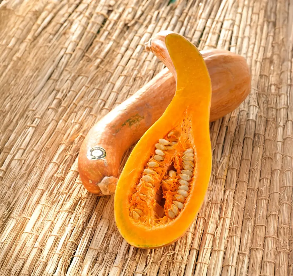 ニシキヤキッチンが東北の素材シリーズ「浜の輝たまねぎのポタージュ」と「南部一郎かぼちゃのポタージュ」を９月24日（水）に数量限定で新発売！ 画像 5