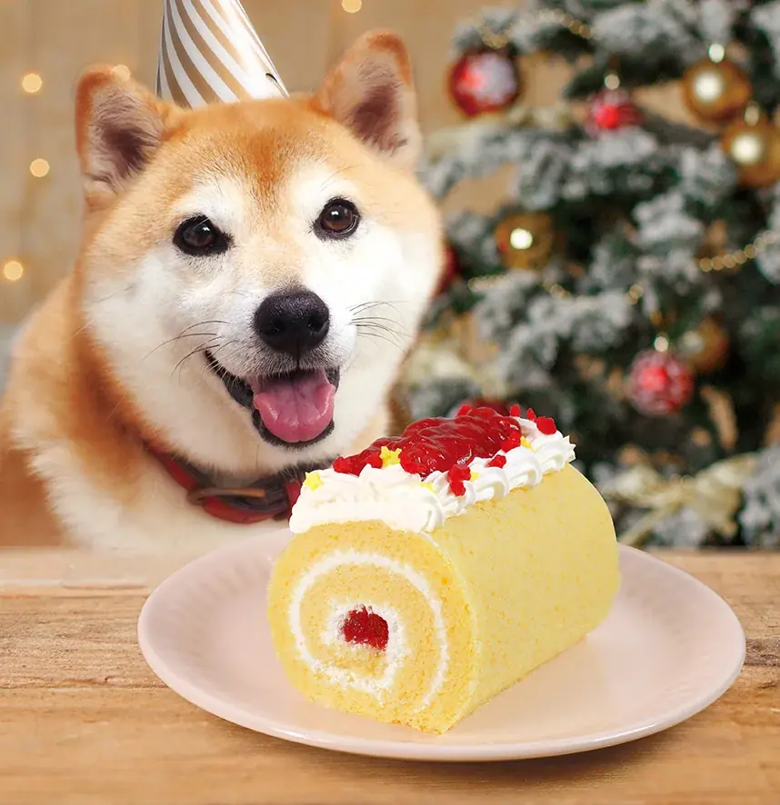 “平日だからこそ、ちゃんと特別。”「FUJIYA×Snow Manオリジナルクリスマスプレート」付きのケーキも登場！ 不二家洋菓子店 クリスマスセール 画像 5