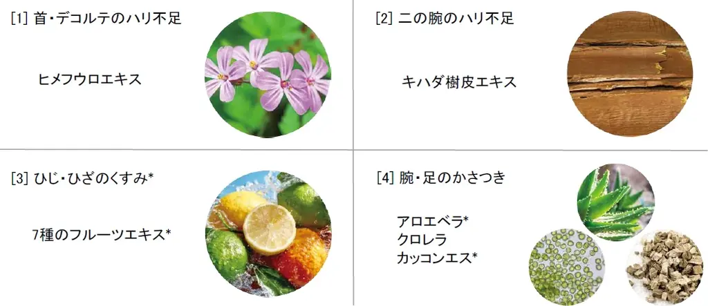 10/1(水)　数量限定発売 大人のエイジ悩みをオールカバーし、触れていたくなる心地よい肌感へ「シーボン メルティボディエッセンス」 画像 2