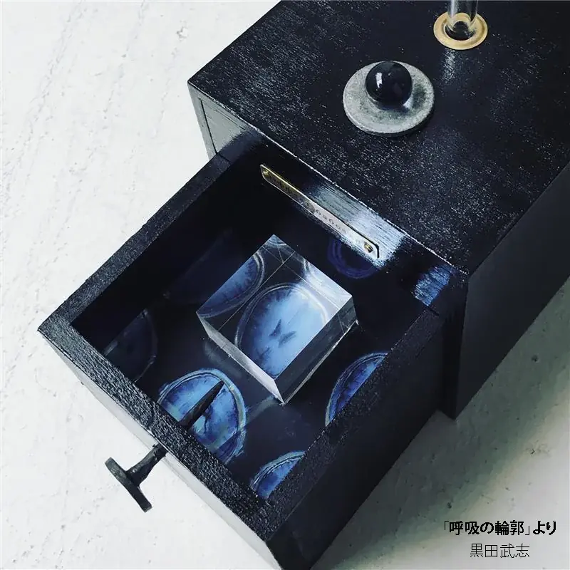 扇町ナイトミュージアム vol.1『西田シャトナー×黒田武志 ひとつと無限の作品展 折り紙とオブジェの博物誌』9月26日（金）より開催 画像 3