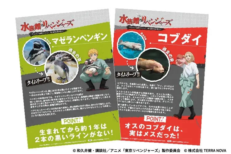 【上越市立水族博物館 うみがたり】『水族館リベンジャーズ』【２０２５年１０月１７日（金）～２０２６年３月８日（日）】 画像 5