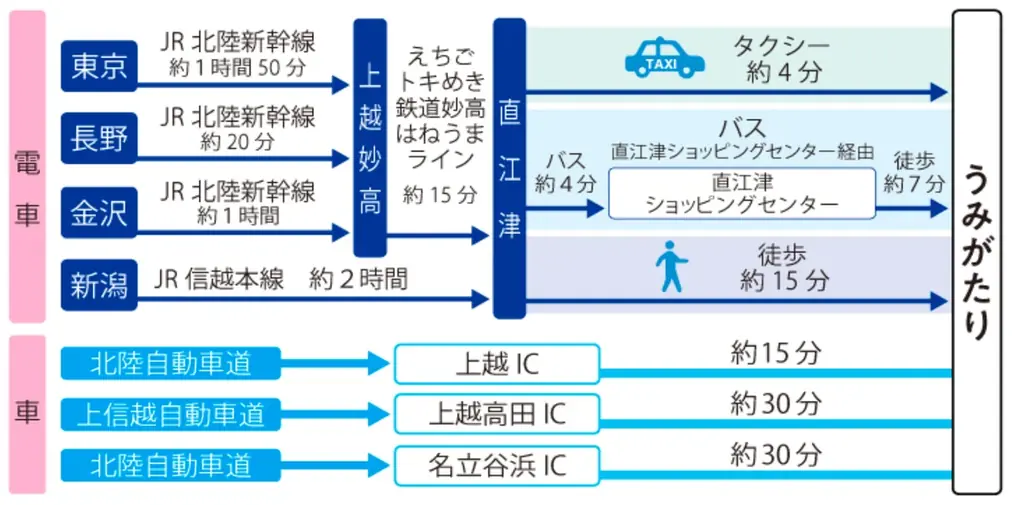 【上越市立水族博物館 うみがたり】『水族館リベンジャーズ』【２０２５年１０月１７日（金）～２０２６年３月８日（日）】 画像 9