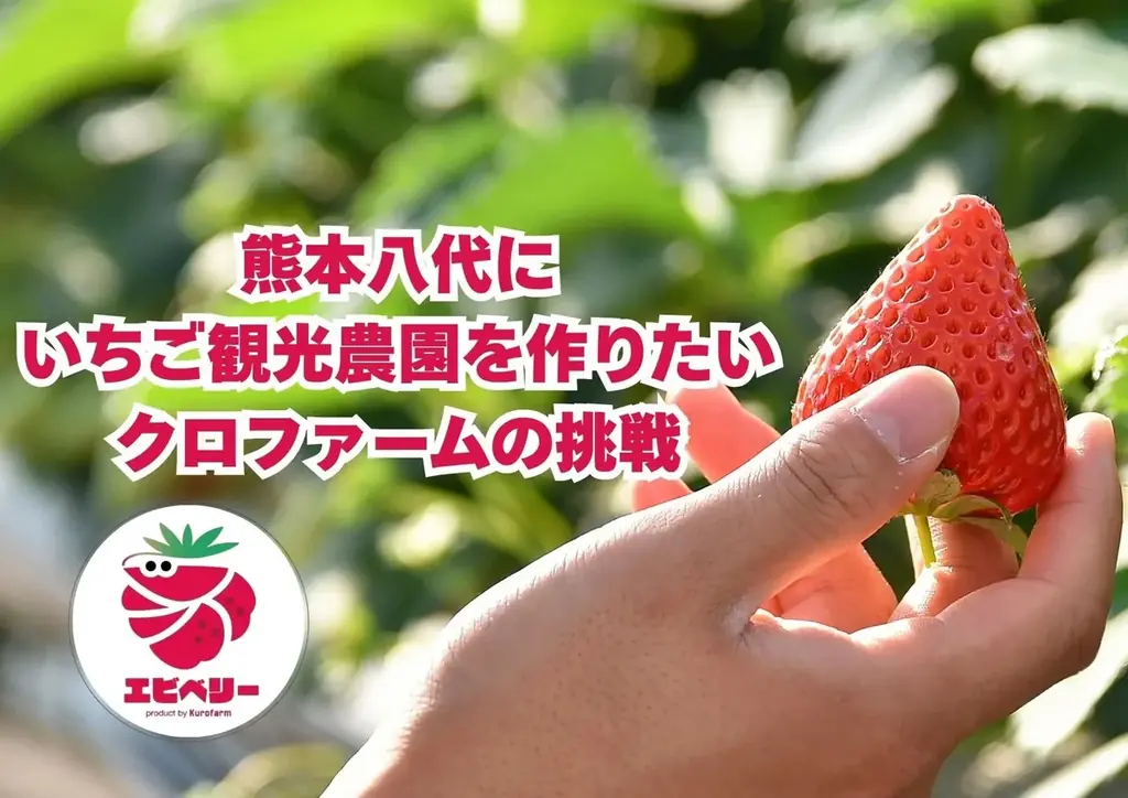 【熊本県内初の起業家支援のカタチ】「八代の未来を創る起業家」がふるさと納税を活用したクラウドファンディングに挑戦中（熊本県八代市） 画像 8
