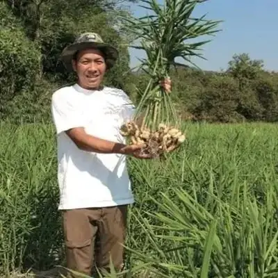 【熊本県内初の起業家支援のカタチ】「八代の未来を創る起業家」がふるさと納税を活用したクラウドファンディングに挑戦中（熊本県八代市） 画像 9