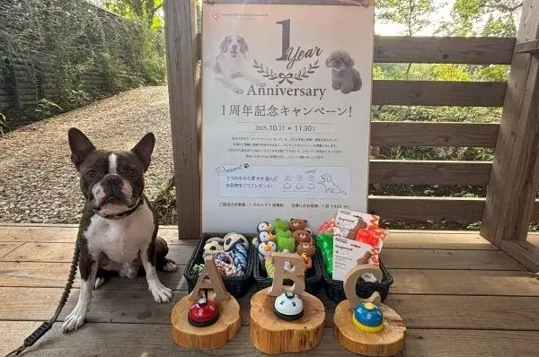 10月1日開始｜愛犬と泊まる温泉ヴィラ1周年特典
