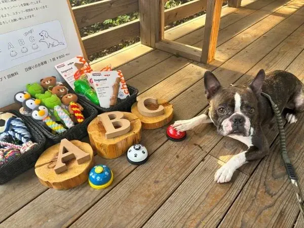 愛犬と泊まれるプライベート温泉付き宿泊エリア「Dear Wan Spa Garden」オープン1周年記念　プレゼントキャンペーンと特別な宿泊プランを10月1日（水）より提供開始 画像 3