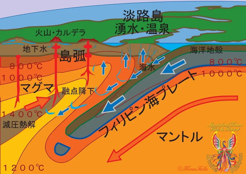 第9回「ジャパン・ツーリズム・アワード」において「世界初！海ホタルショー」が審査員特別賞を受賞! 画像 11