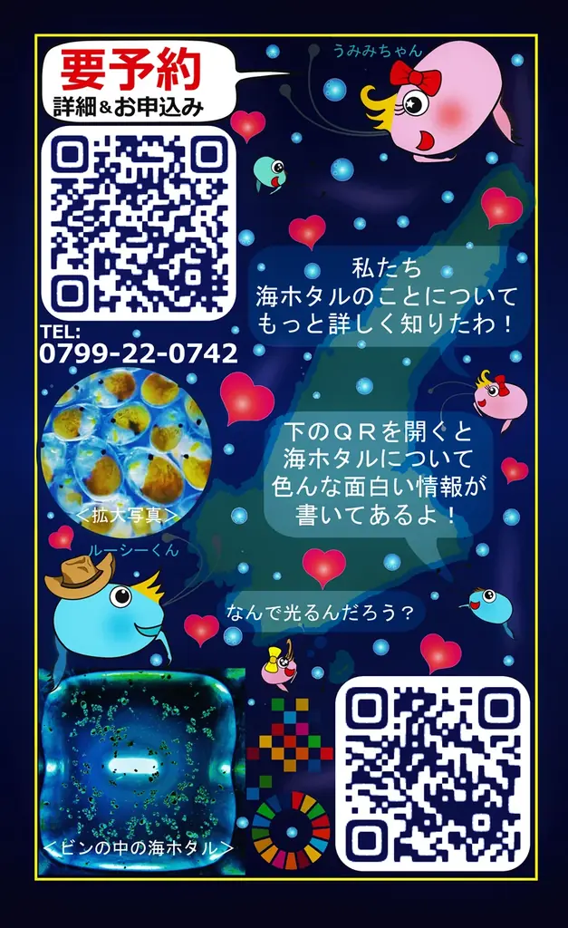 第9回「ジャパン・ツーリズム・アワード」において「世界初！海ホタルショー」が審査員特別賞を受賞! 画像 16