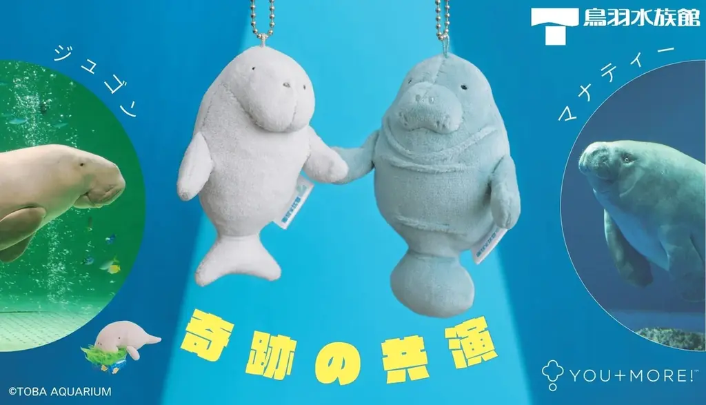鳥羽水族館監修　ジュゴン＆マナティーの新マスコット発売
