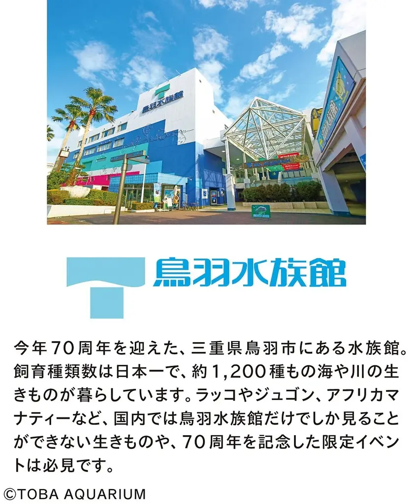 世界唯一の奇跡の共演！ 鳥羽水族館でしか会えない“ジュゴン”＆“マナティー”のコラボグッズ2点が登場【鳥羽水族館×フェリシモYOU+MORE!】 画像 11