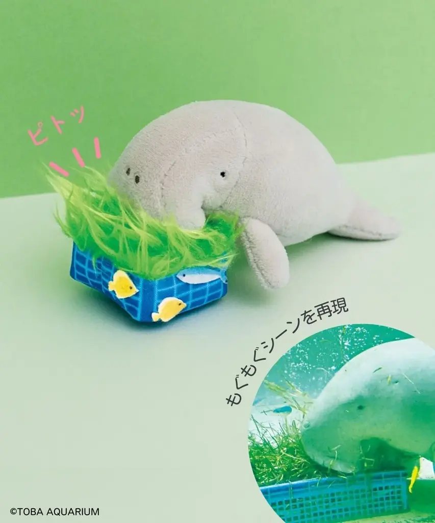 世界唯一の奇跡の共演！ 鳥羽水族館でしか会えない“ジュゴン”＆“マナティー”のコラボグッズ2点が登場【鳥羽水族館×フェリシモYOU+MORE!】 画像 7