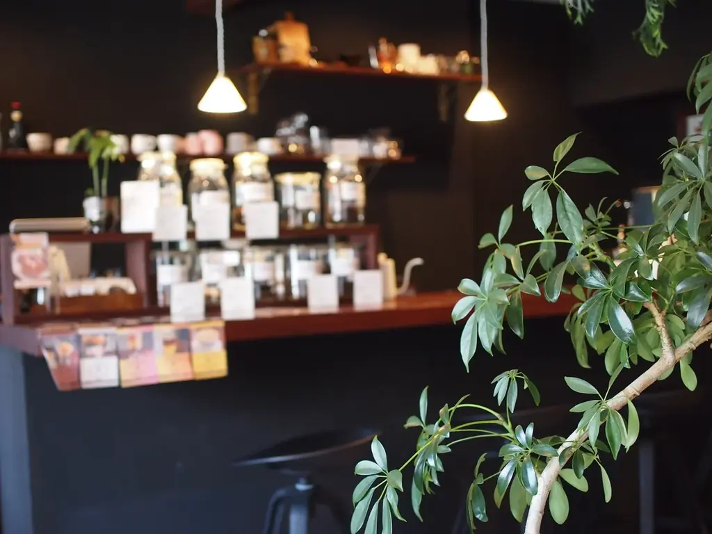 【松江市】MATAHARI COFFEE新作スイーツ発売。＜出雲茶寮 藤＞とコラボレーション「出雲抹茶とエスプレッソのレアチーズケーキ」 画像 9