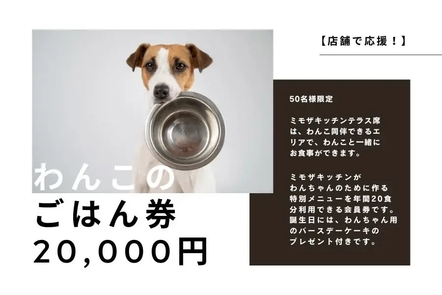 【10/1スタート！】ミモザキッチン、「農薬や化学肥料を使わない野菜のおいしさ」と「うま味調味料に頼らない調理法」の「ごちそう」を全国へ―ECリニューアルと瞬間冷凍機導入のためのクラファン開始 画像 21