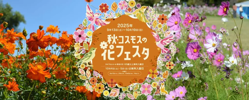 安曇野で楽しむ秋の花景色　コスモスの花フェスタ開催中