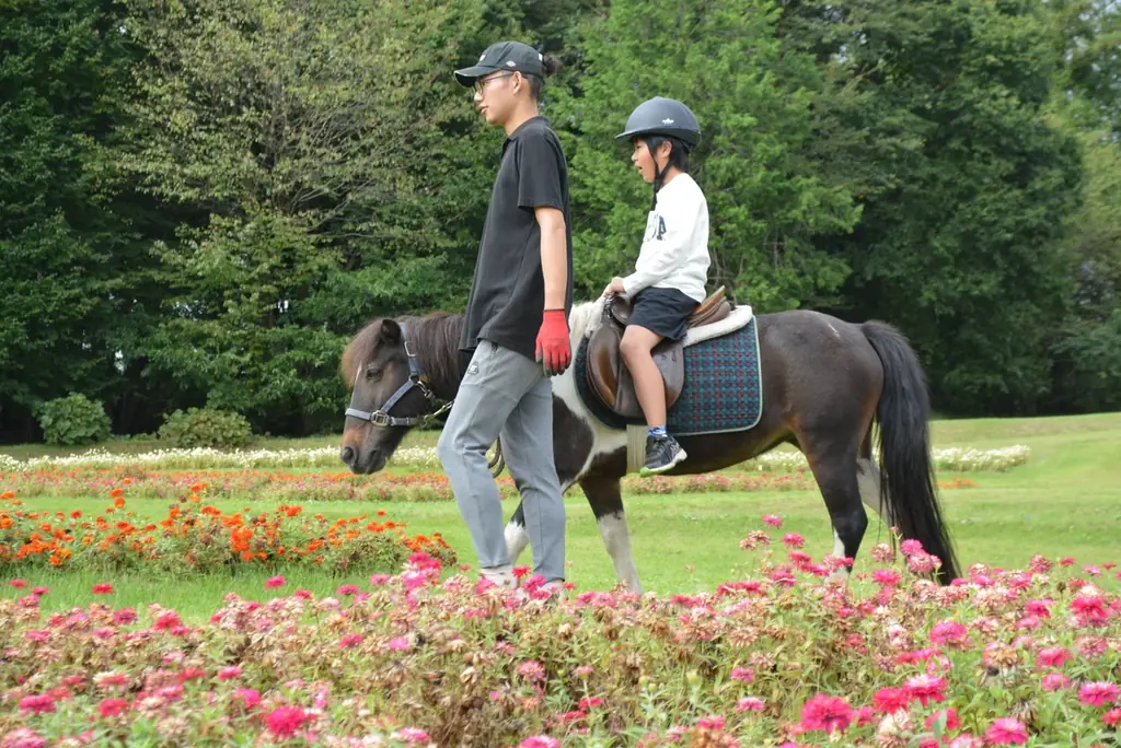 「秋・コスモスの花フェスタ」開催！【国営アルプスあづみの公園　堀金・穂高地区】 画像 10