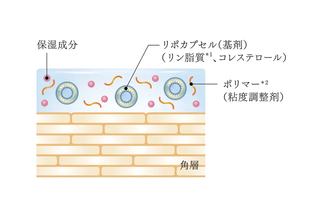 「SEＮSAI(センサイ)」最高峰のＵＴＭシリーズから、うるおって透明感あふれる生命感とハリに満ちたシルクスキンへ導く美容液が登場。『ＵＴＭ　ザ　コンセントレート　Ｎ』2025年10月1日(水) 発売 画像 4