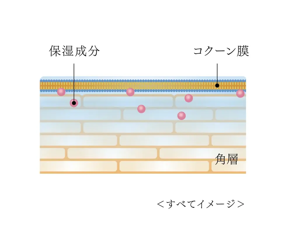 「SEＮSAI(センサイ)」最高峰のＵＴＭシリーズから、うるおって透明感あふれる生命感とハリに満ちたシルクスキンへ導く美容液が登場。『ＵＴＭ　ザ　コンセントレート　Ｎ』2025年10月1日(水) 発売 画像 6