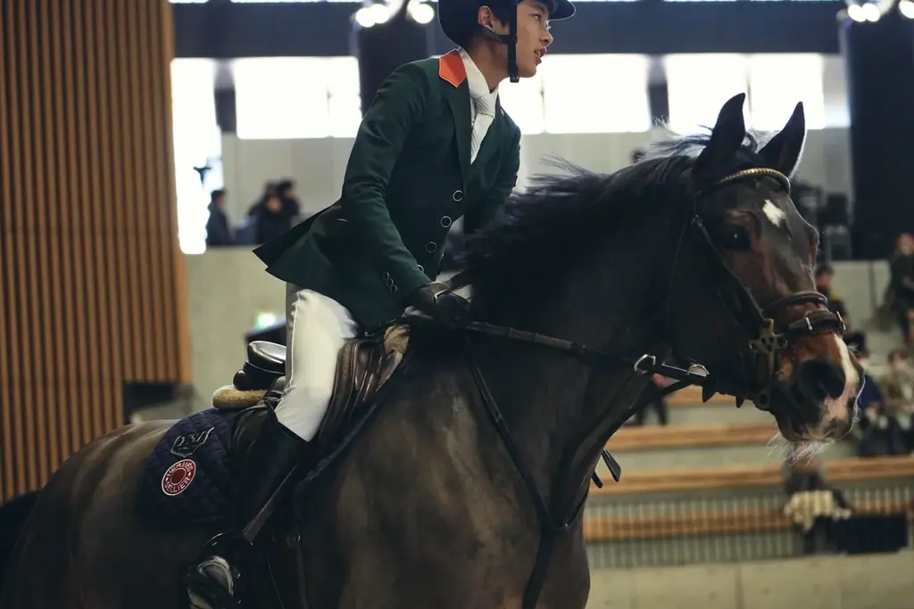 【2025年10月25日（土）】日本を代表する人馬が東京に集結！Tokyo Equestrian Festival 2025 画像 8