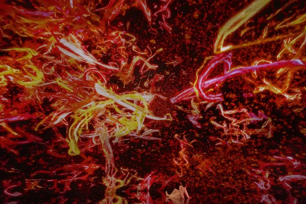 存在の宇宙、認識の宇宙「チームラボ バイオヴォルテックス 京都」、10月7日(火)オープン。作品群の全貌を発表 画像 14