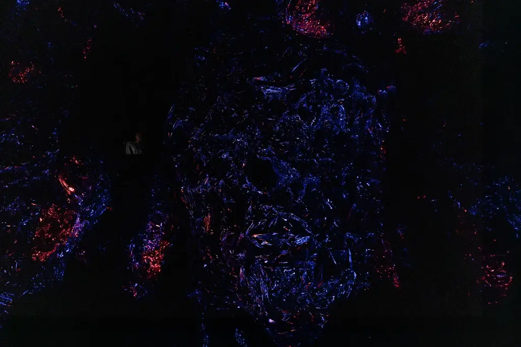 存在の宇宙、認識の宇宙「チームラボ バイオヴォルテックス 京都」、10月7日(火)オープン。作品群の全貌を発表 画像 23
