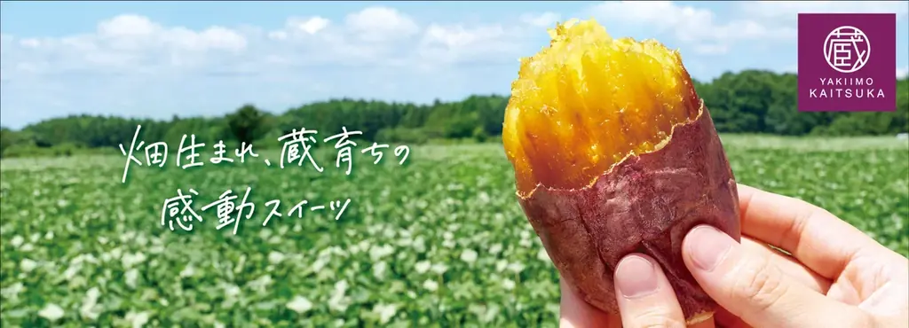 蔵出し焼き芋かいつかがブランド刷新、2種を定番化へ