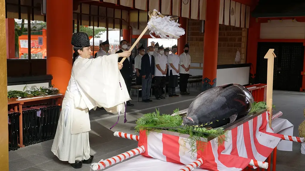 京都府内で唯一のクロマグロ養殖！短期養殖で天然と養殖の良いところ取り、赤身が上質で濃厚！生・本まぐろ年間1万本販売実績の大起水産プライベートブランド京都府伊根産「京まぐろ」10月1日販売開始！ 画像 11