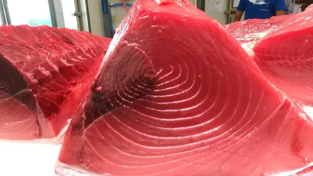 京都府内で唯一のクロマグロ養殖！短期養殖で天然と養殖の良いところ取り、赤身が上質で濃厚！生・本まぐろ年間1万本販売実績の大起水産プライベートブランド京都府伊根産「京まぐろ」10月1日販売開始！ 画像 4