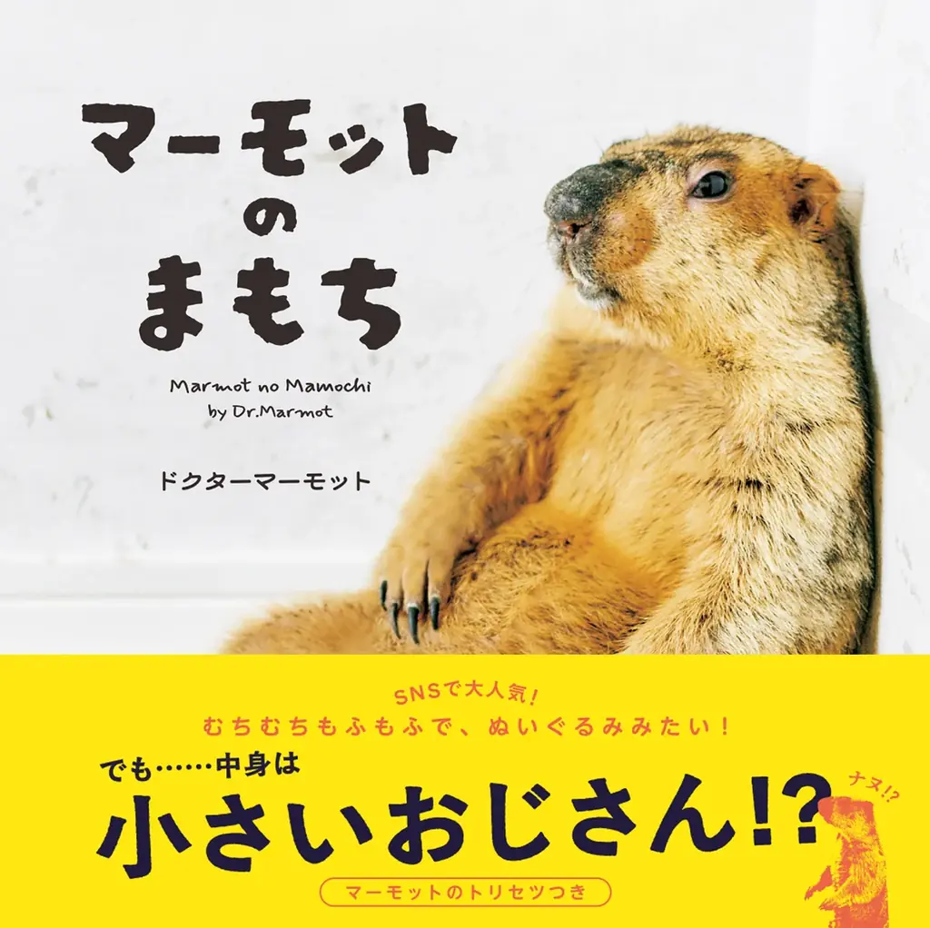 10/22発売『マーモットのまもち』写真集 約100点収録