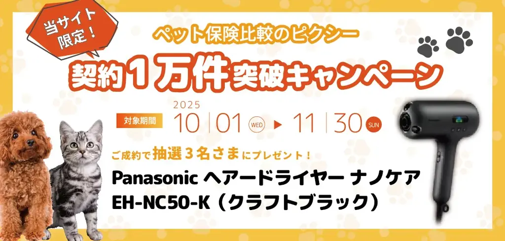 1万件突破キャンペーン