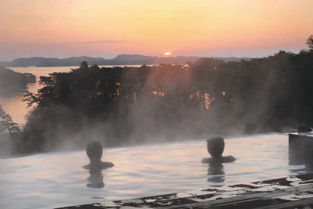 必見！1組2名様に当たる！メルマガに登録して応募しよう！「日本三景・松島の絶景と5つ星の宿(※)で迎える年末年始旅 プレゼントキャンペーン」を実施します！ 画像 3