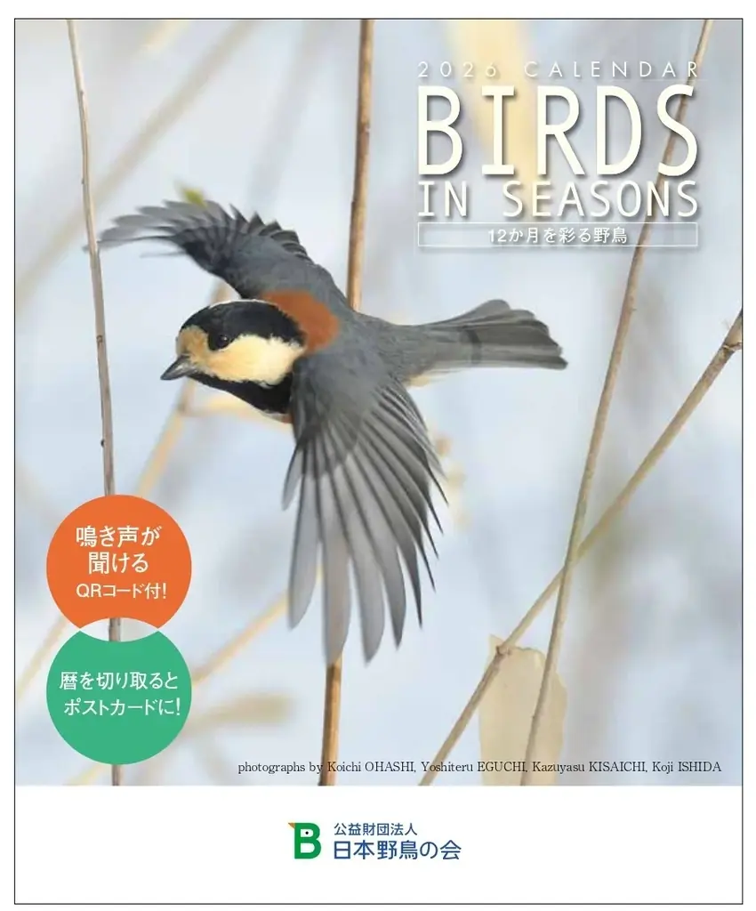 バードウォッチングウィーク！（＊11月1日～7日）毎日eBirdに投稿しよう 画像 3